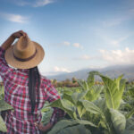 piloto-rural-y-del-norte-en-canada