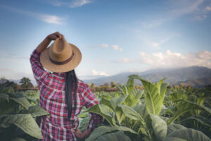 piloto-rural-y-del-norte-en-canada