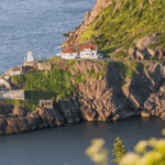 PNP Newfoundland & Labrador