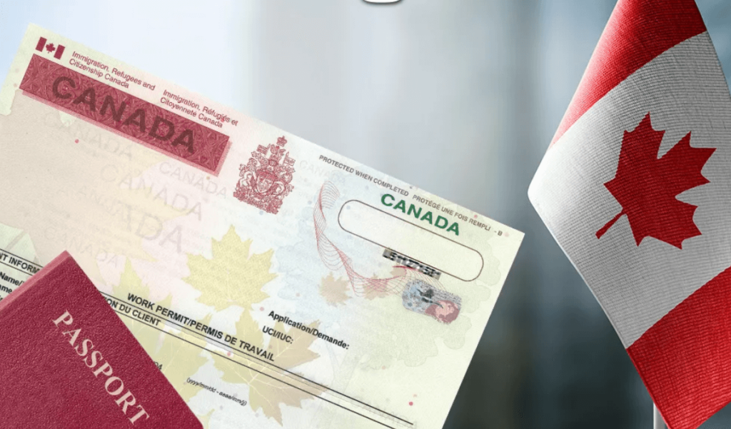 qué tipos de permiso de trabajo existen en Canadá