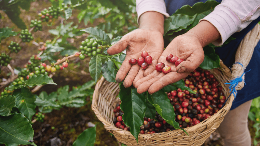 encontrar empleo en agricultura en Canadá